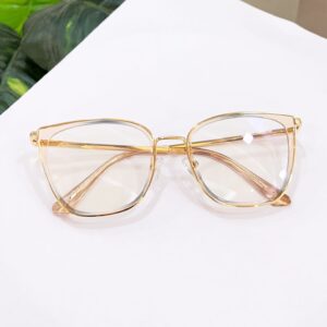 Translucent eyeglasses